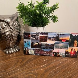 Urban Decay Born to Run Palette